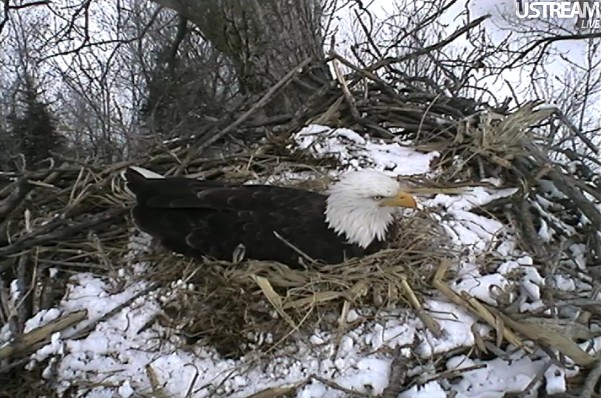 ScreenHunter_01 Feb. 24 14.32.jpg